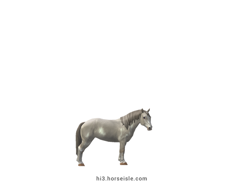 South African Miniature Horse Cream Sable Champagne with Reverse Dappling Coat (normal view)